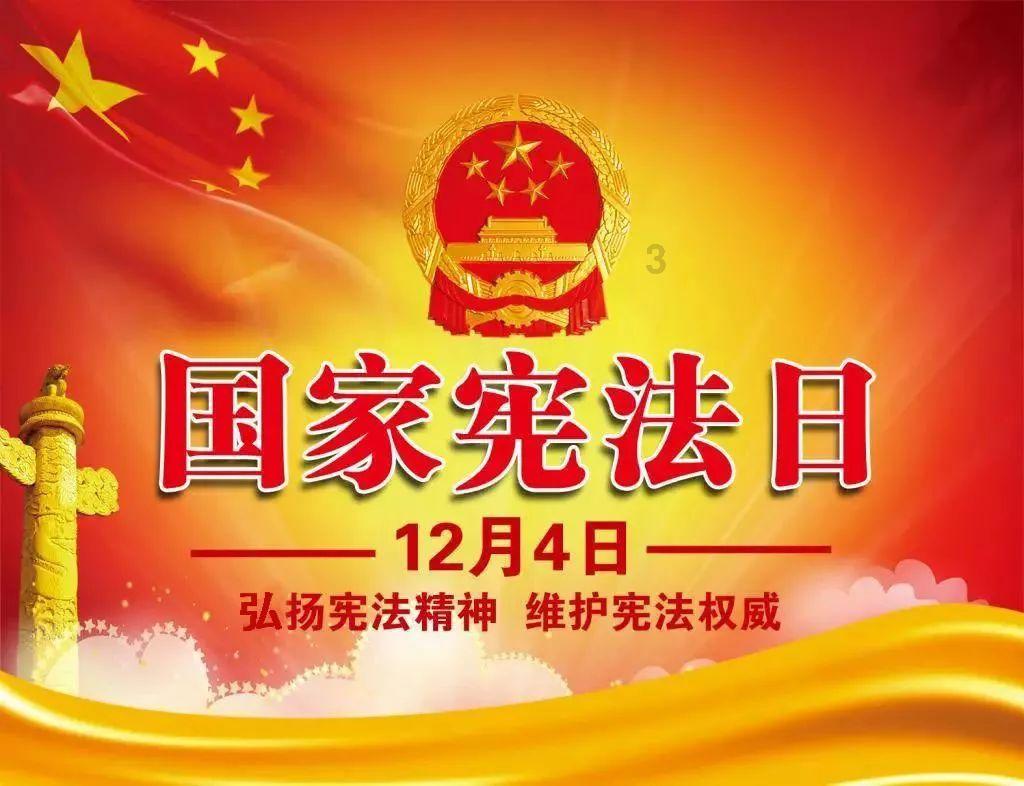 救援猫与武士